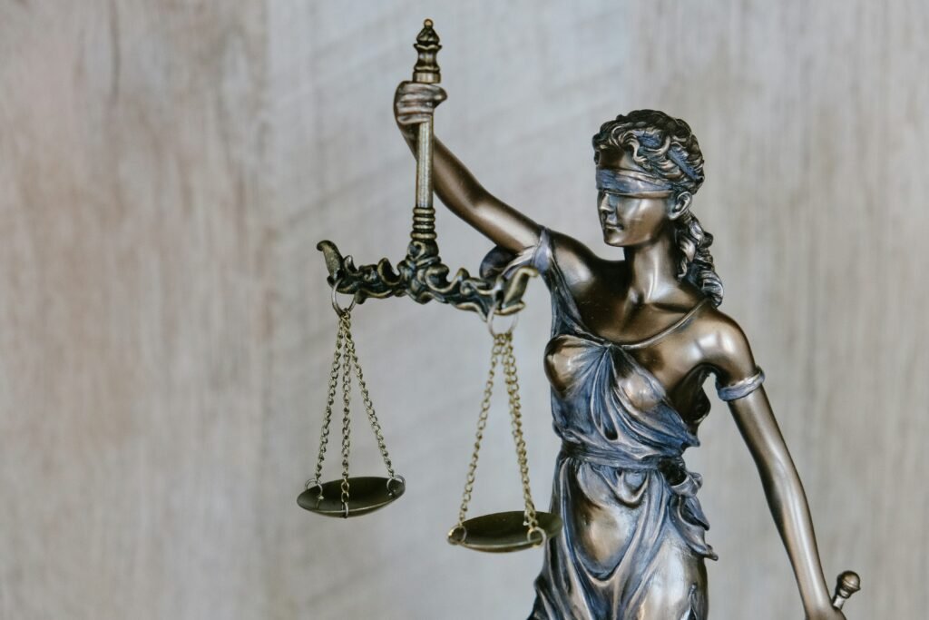 cedomir stojkovic lawyer